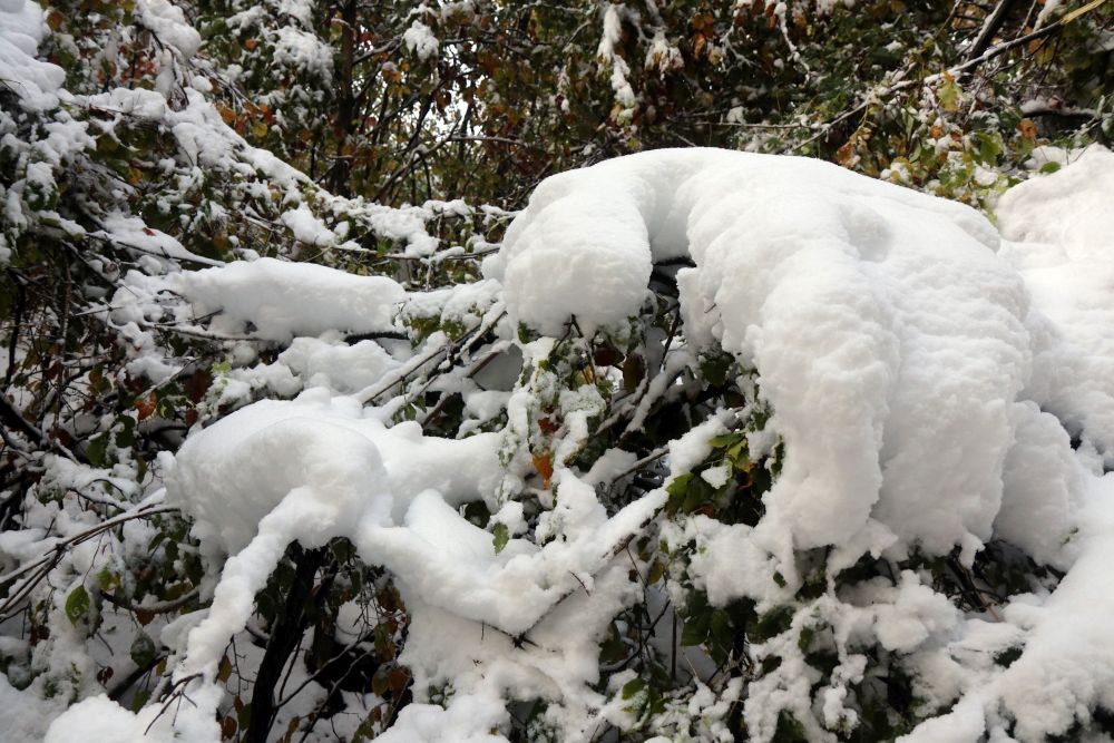 Több mint tíz centiméternyi hó hullott a Bükkben