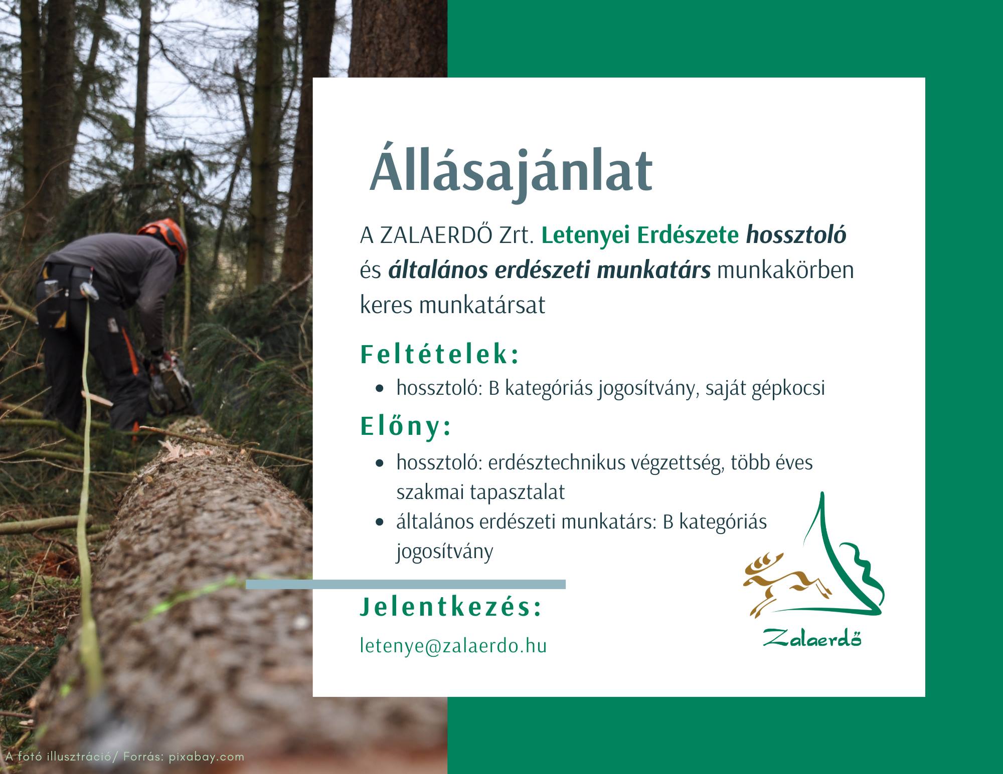 Erdészeti munkatársat keres a Zalaerdő Letenyei Erdészete