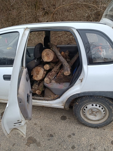 Autóba pakolták a lopott fát, lebuktak