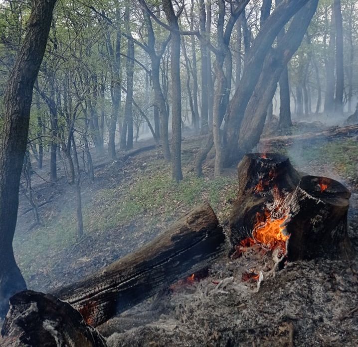Fákra is átterjedt a tűz a Pes-kő barlangnál