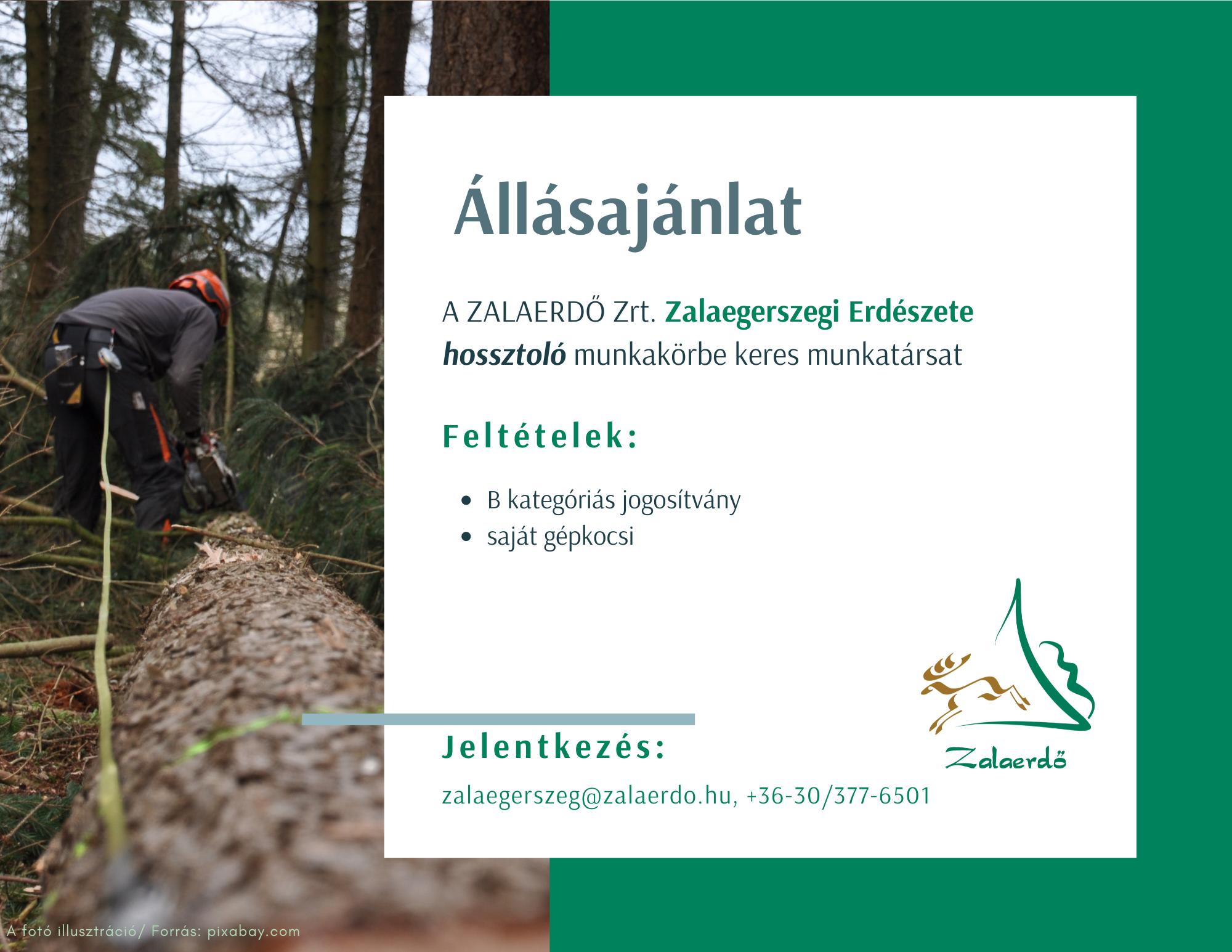 Álláshirdetés - Hossztolót és általános erdészeti munkatársat keres a Zalaerdő
