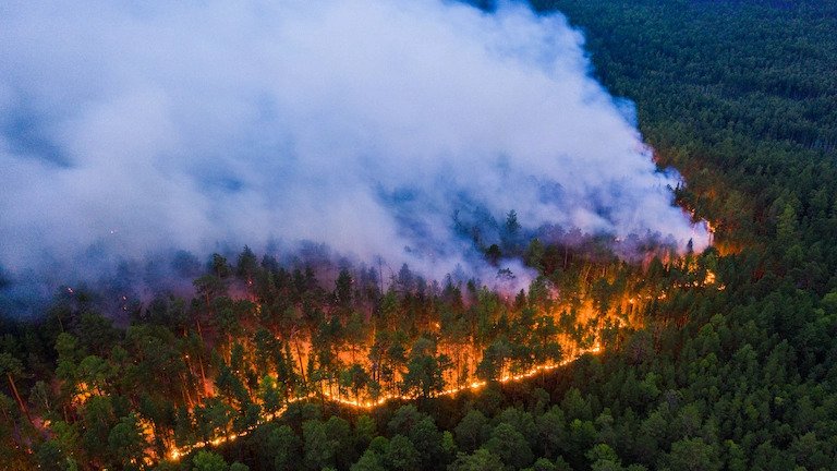 Putyin: megengedhetetlen a tavalyi súlyos erdőtüzek megismétlődése