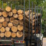 Az LMP az Alkotmánybírósághoz fordul a fakitermelésre vonatkozó kormányrendelet miatt
