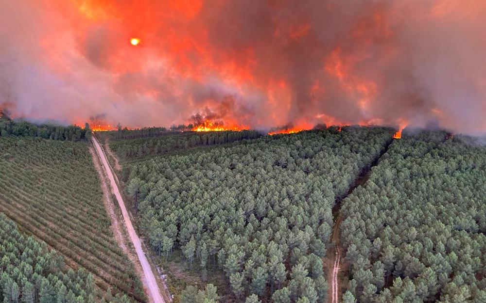 1000 hektárnyi erdő égett le Franciaországban