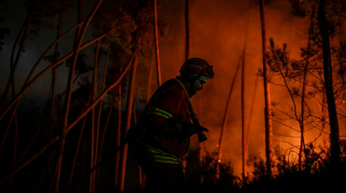 Erdő- és bozóttüzek pusztítanak Portugáliában a hőség miatt