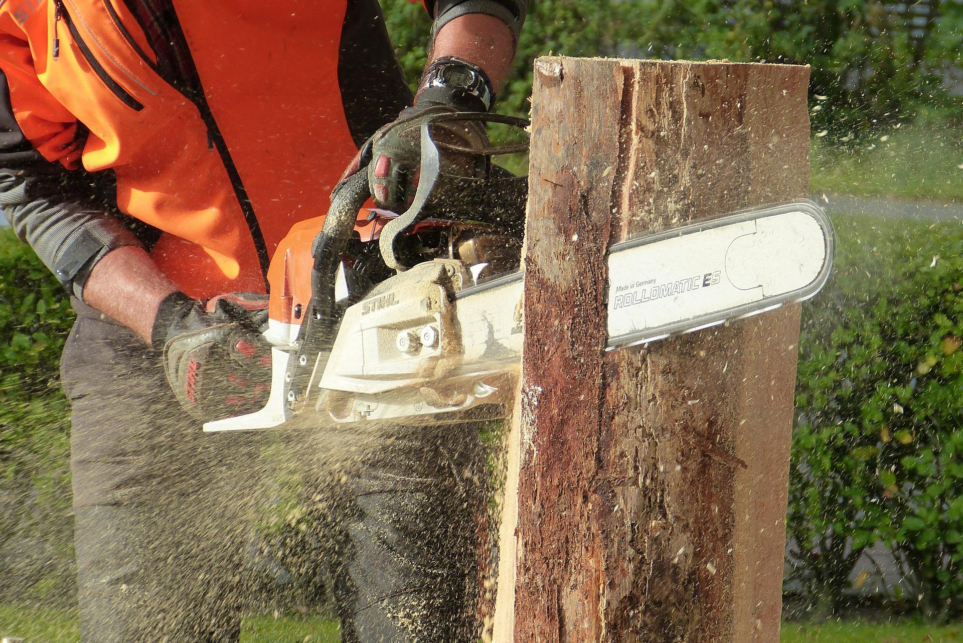 Pályázat fakitermelői munkák elvégzésére az Ipoly Erdő Zrt. Nyugat-Cserháti Erdészeténél