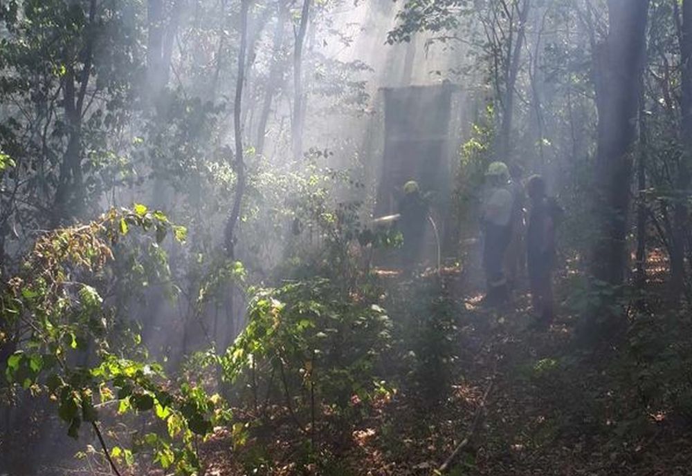 Égett az aljnövényzet a János-hegyen - Ezer négyzetméteren volt tűz a budapesti erdőben