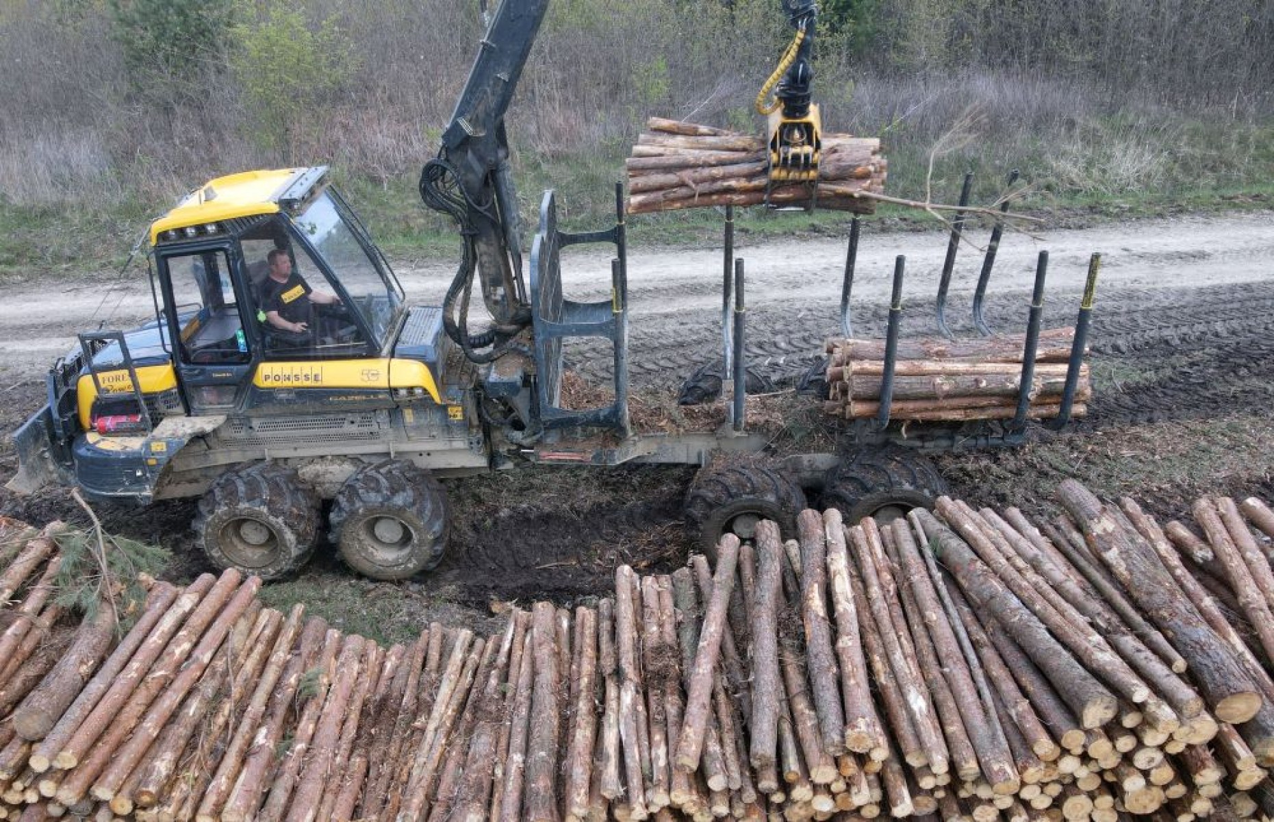 VIDEÓ: Csemetetermeléstől a fakitermelésig a Zalaerdőnél