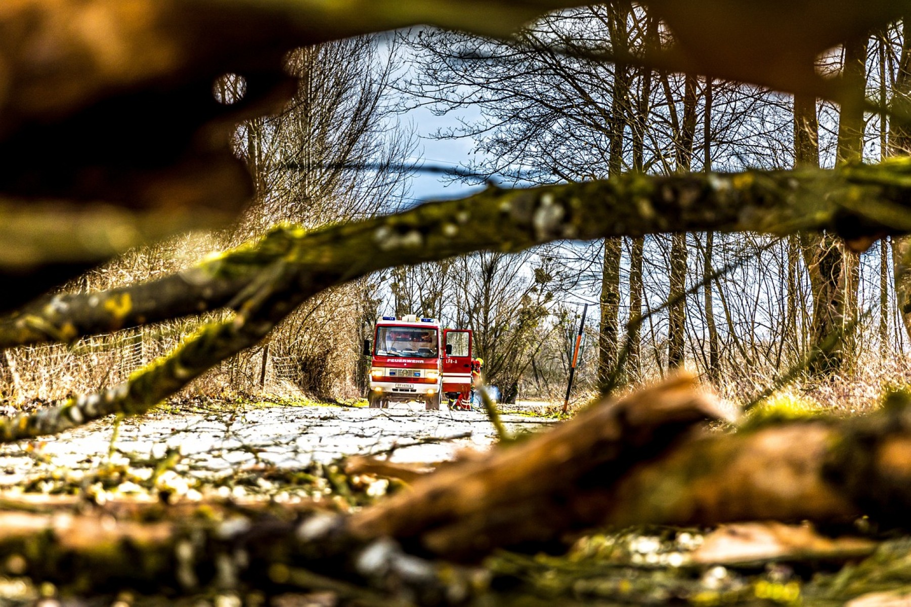 Az erdőtüzek felszámolására specializálódnak a katasztrófavédelem új tűzoltóautói