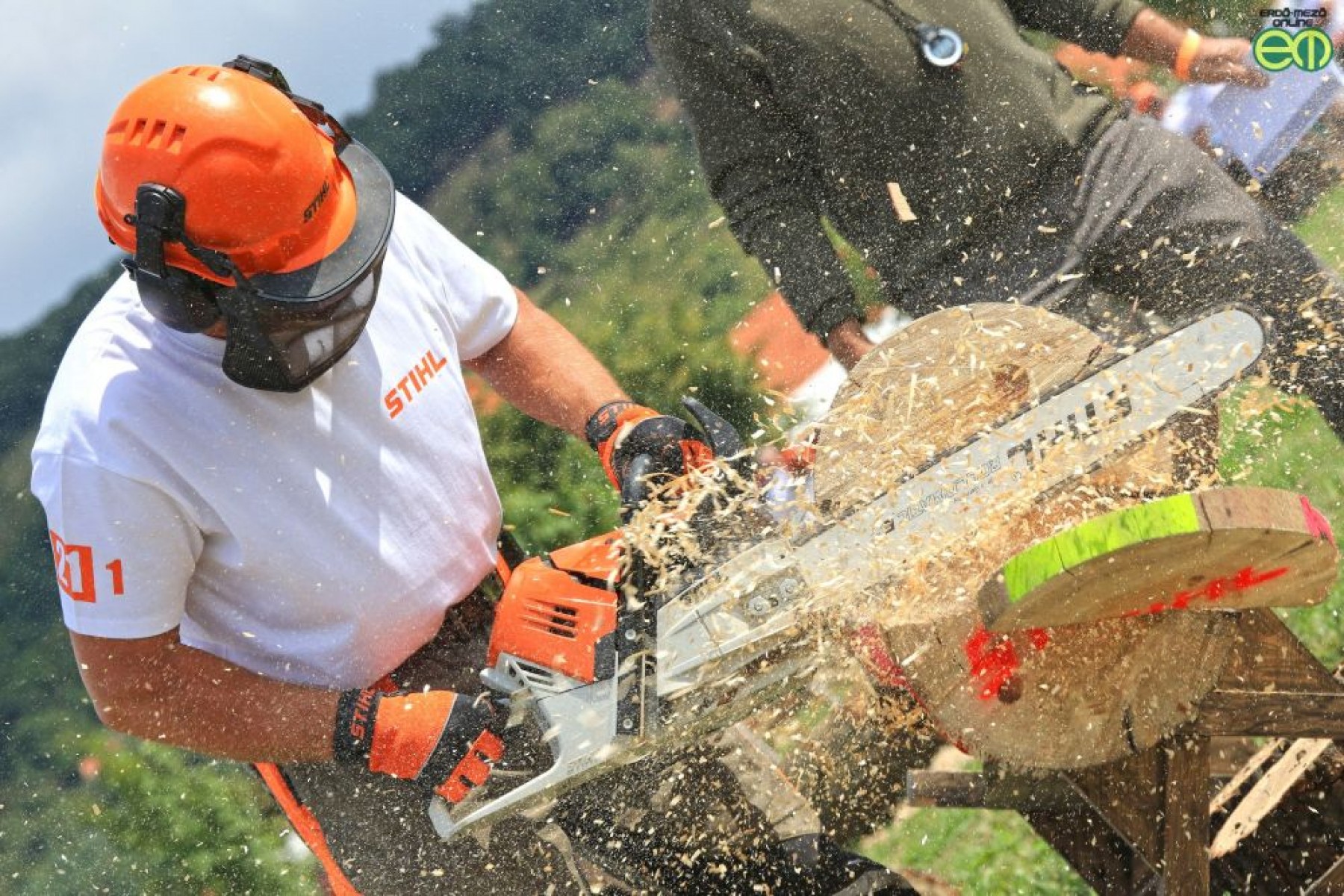 Visszatér a STIHL Országos Fakitermelő Bajnokság - négy regionális helyszínnel