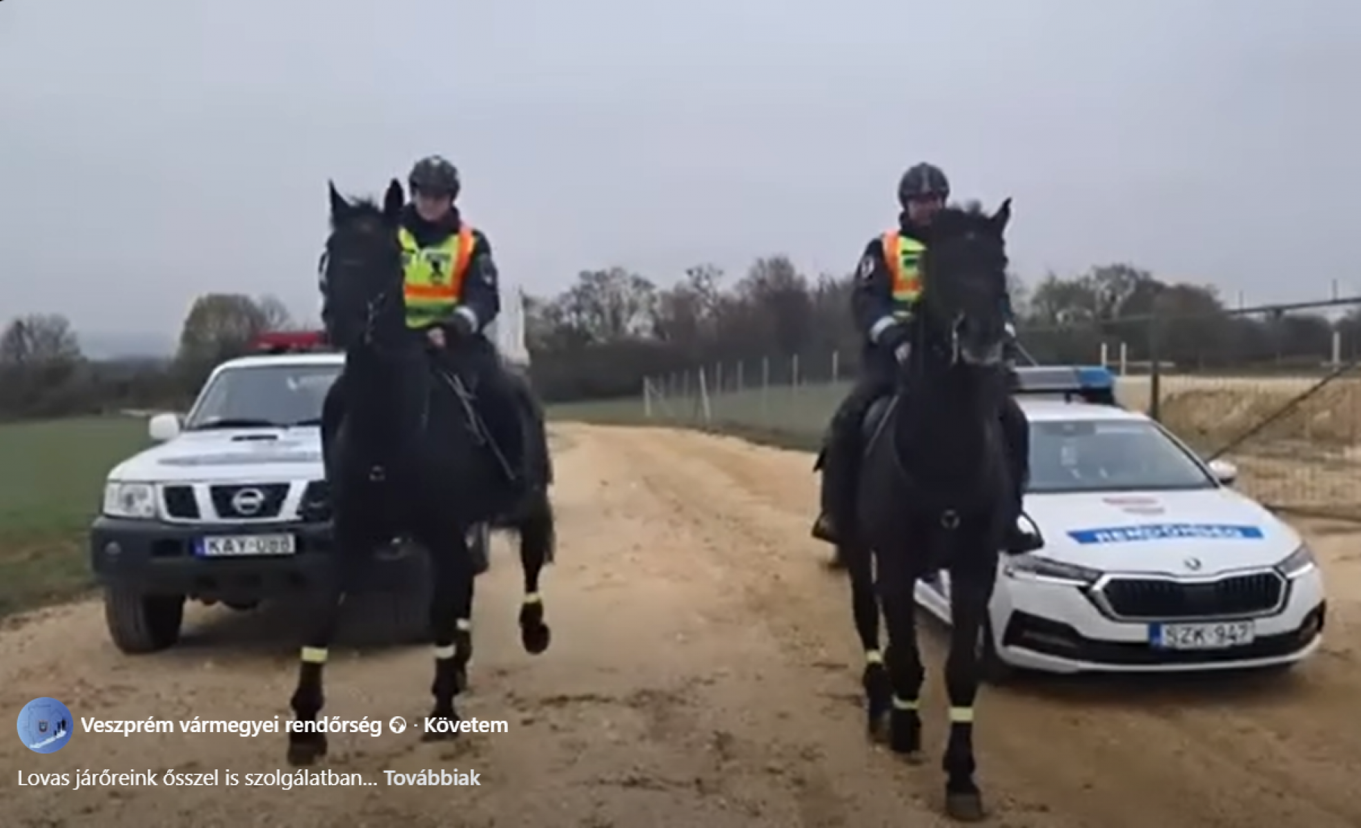 Lóháton ellenőrzik az erdőket