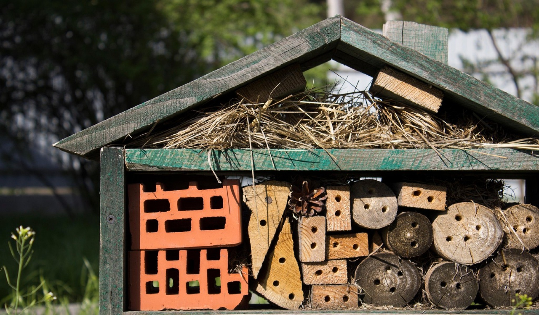 Február végéig érdemes kihelyezni a beporzó rovarok védelmét segítő méhecskehoteleket