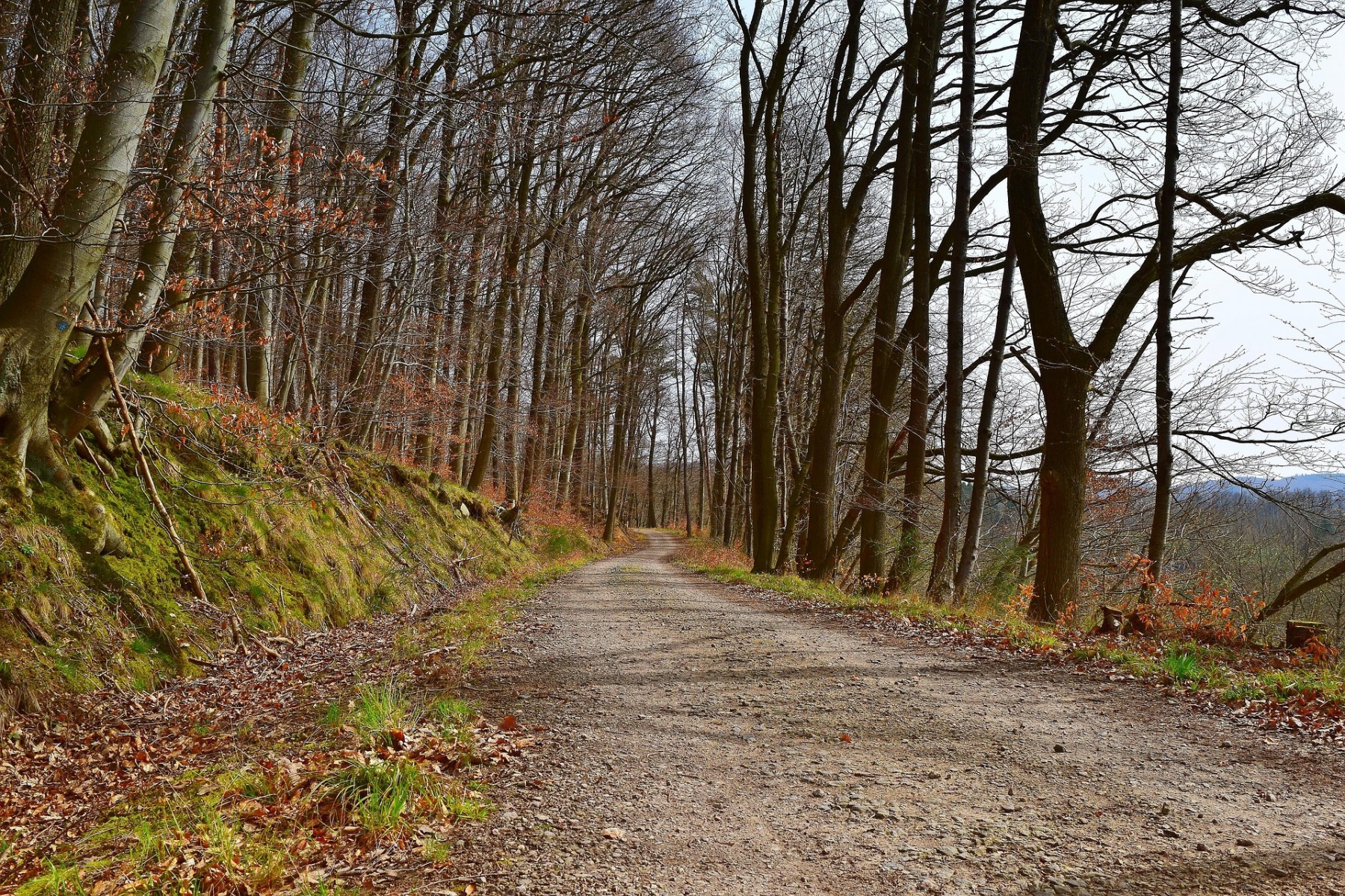 Az agancshullatás időszakában kiemelt ellenőrzéseket tart a Vadex