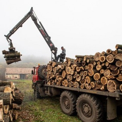 Ezer erdészeti gép, nyolcszáz brigád, háromezer fakitermelő dolgozik a hatósági áras tűzifáért