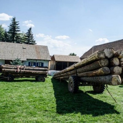 Nyolc hónap alatt 9000 környezetkárosító és erdészeti bűncselekmény Romániában