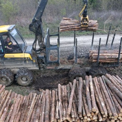 VIDEÓ: Csemetetermeléstől a fakitermelésig a Zalaerdőnél