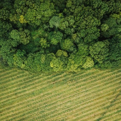 Az agrárerdészet a lehetséges kiút az ökológiai zsákutcából?