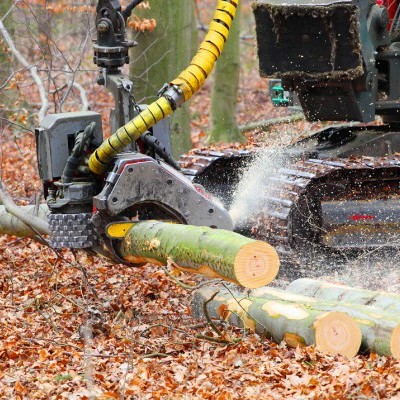 Erdészeti gépbemutatót tartanak Győr-Moson-Sopron vármegyében
