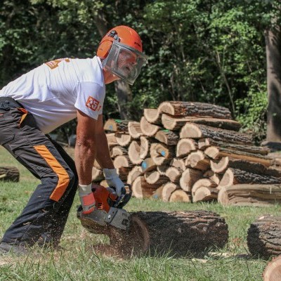 Mecsekerdő diadal a fakitermelők országos versenyén