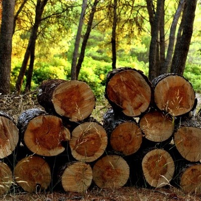 Csaló tűzifa árusok buktak le az agglomerációban