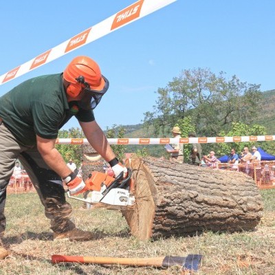 Szombaton az utolsó regionális megmérettetésen küzdenek meg a fakitermelő csapatok