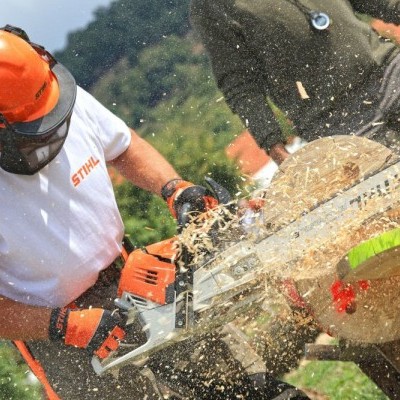 Visszatér a STIHL Országos Fakitermelő Bajnokság - négy regionális helyszínnel