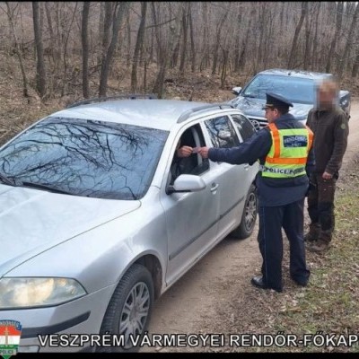 Akció az erdők védelméért Pápa térségében 