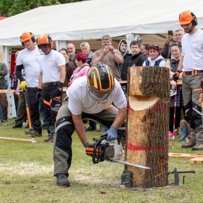 STIHL Bajnokok Bajnoka 2025