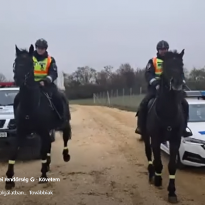 Lóháton ellenőrzik az erdőket