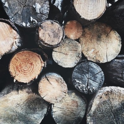 NAK: minden szem a COP30-ra és az EUDR kérdésre szegeződik