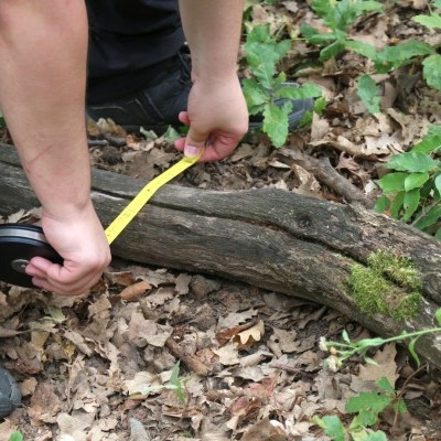 Pilisi Parkerdő: a cél, hogy az erdők ellenállóbbá, sokszínűbbé és élhetőbbé váljanak