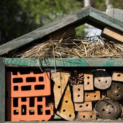 Február végéig érdemes kihelyezni a beporzó rovarok védelmét segítő méhecskehoteleket