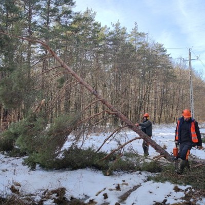 Erdészek is segítik az áramszolgáltatás helyreállítását